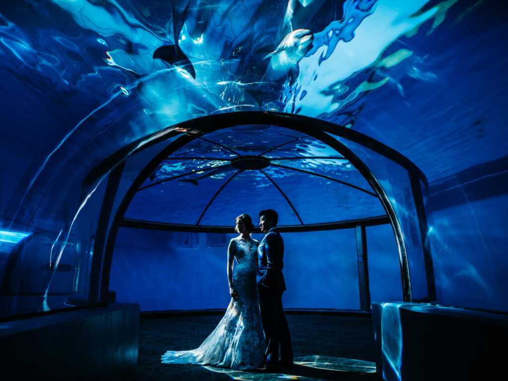 Indianapolis Zoo Wedding // Ashley x Yenling